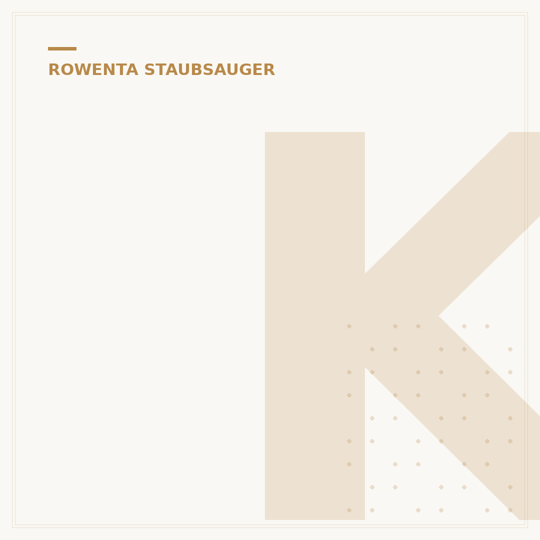 Kabelloser Staubsauger Rowenta: Die 5 besten Modelle für Sie