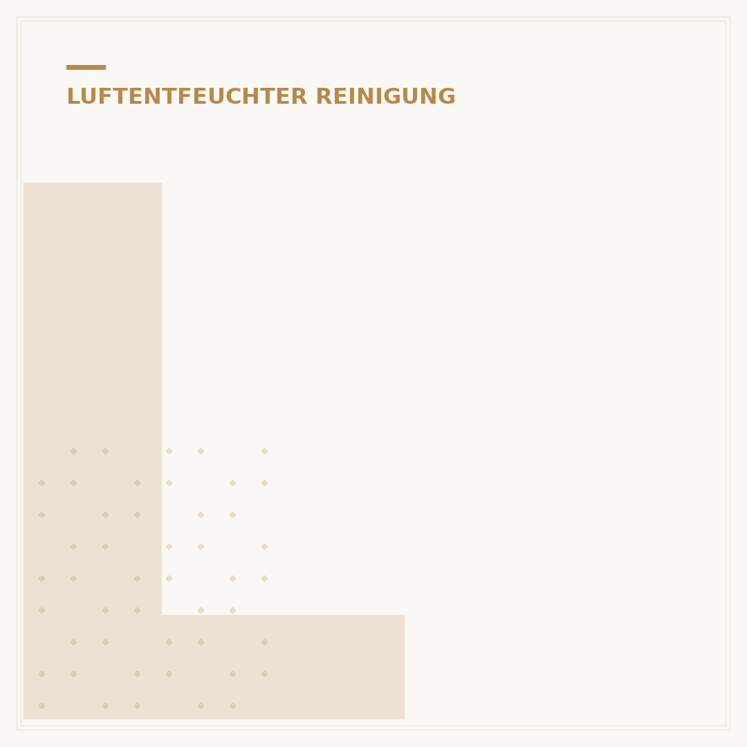 Luftentfeuchter mit Luftreiniger: 5 Vorteile für Ihr Zuhause