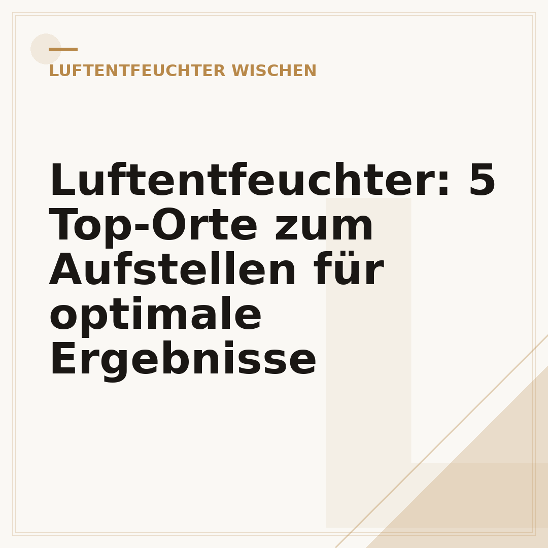 Luftentfeuchter: 5 Top-Orte zum Aufstellen für optimale Ergebnisse