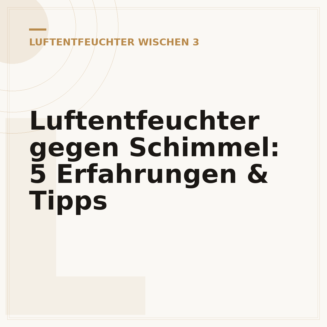 Luftentfeuchter gegen Schimmel: 5 Erfahrungen & Tipps