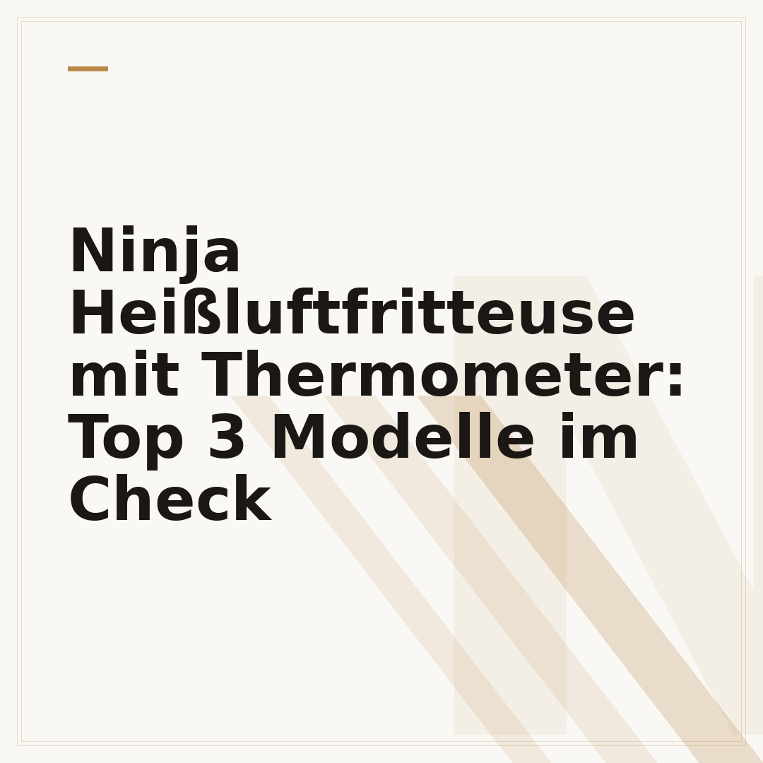 Ninja Heißluftfritteuse mit Thermometer: Top 3 Modelle im Check